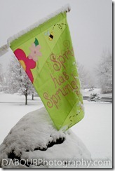 More Spring Snow