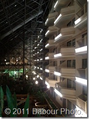 Taken with Samsung Focus