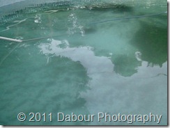 Photo_5D20352A-B84F-AAA0-A33B-6197971D0B27