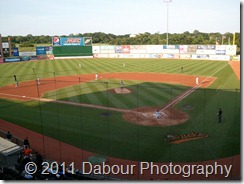 Photo_C5E15800-AC9D-CBC3-C0CA-0D88D699A7B7