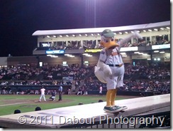 LIDucks
