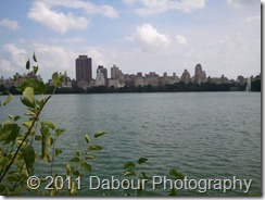 NYC_res_Photo_8CED3591-AE80-A447-972B-4B914CD85434