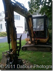 Photo_E8246EE4-CF7A-E632-77EE-D81A4A04598D