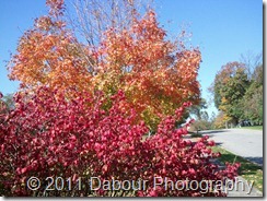 Photo_082D4682-704A-718E-7D91-9B1360E8A6FA