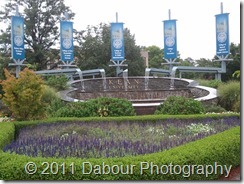 Photo_234F3411-0384-1C13-D7DA-1A9B13B2209E