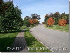 Photo_26257FDA-B1AB-A7DA-6E35-86169ECB907C