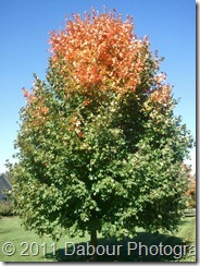 Photo_68C68783-B783-9ED6-031B-6AB97C417023