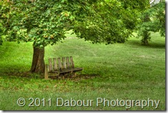 PhotoWalk20111001-157_HDR_ParkBench