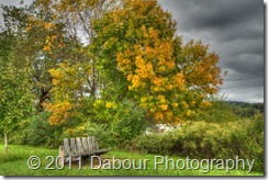 PhotoWalk20111001-166_HDR