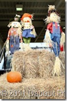 TruckFest20111022-043