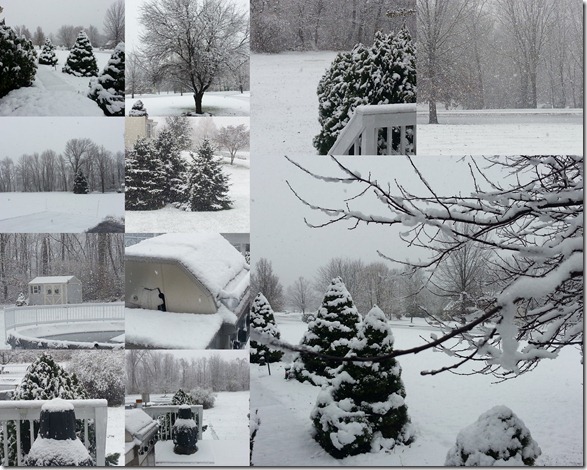 Nov2012SnowCollage