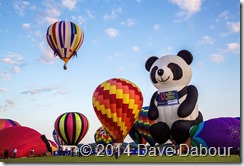 NJ Festival of Ballooning 2014