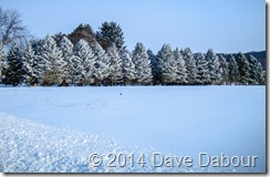 Jan 3 2014 Snow
