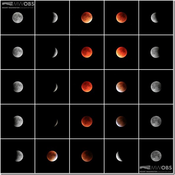 12049224_10153258842769685_2566144171136135677_n