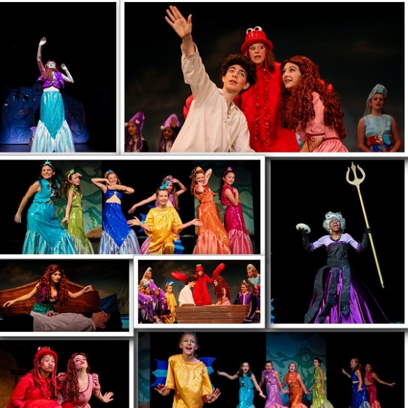 © 2015 Dave Dabour Photography