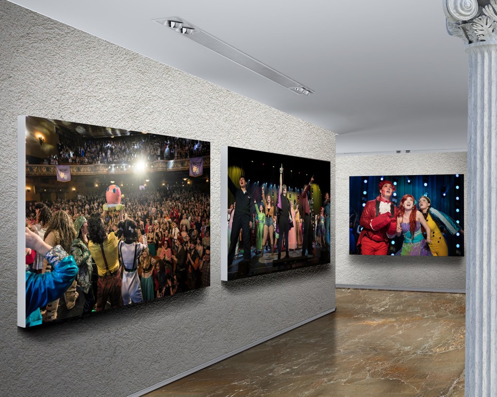 Preview of photographs created by Dave Dabour Photography of the 2024 Freddy Awards gallery that will be on display at the State Theatre in Easton PA soon.