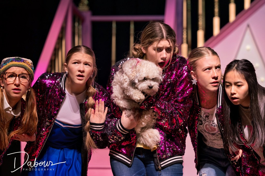 Southern Lehigh High School presents 'Legally Blonde' March 2025. Photo by DAVE DABOUR Photography